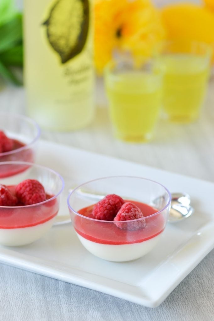 Limoncello Panna Cotta with raspberry sauce on plate