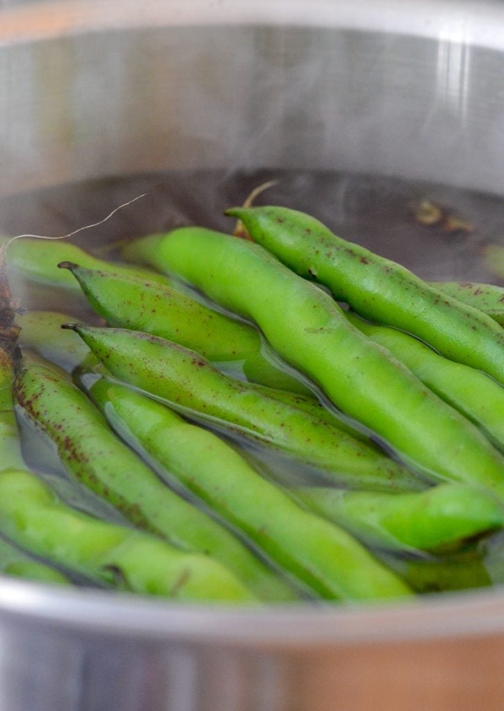 Cooking Fava Beans in boiling water