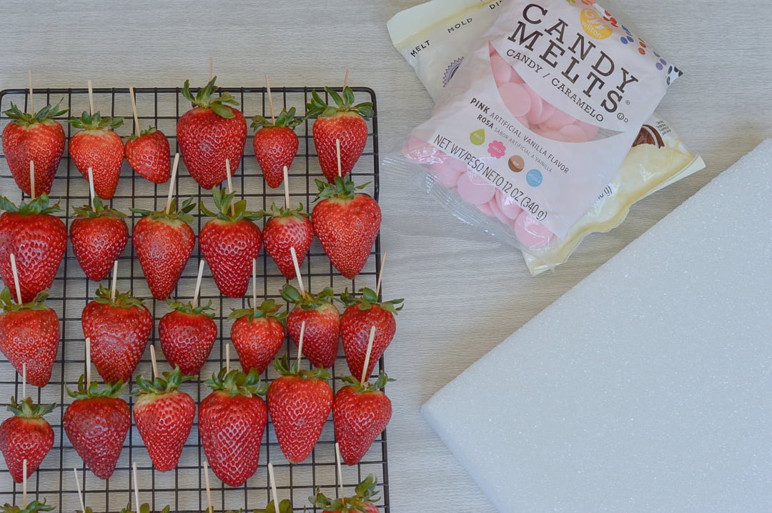 Chocolate Covered Strawberry Ingredients of candy melts, strawberries, toothpicks, parchment and/or Styrofoam. 