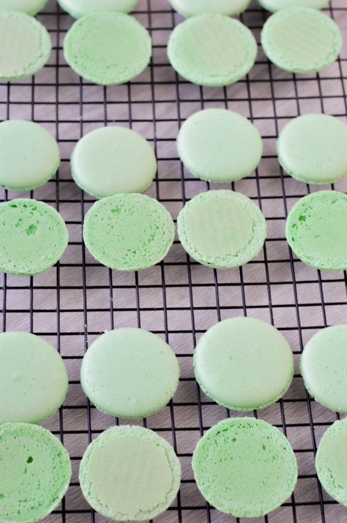 Margarita Macaron shells baked