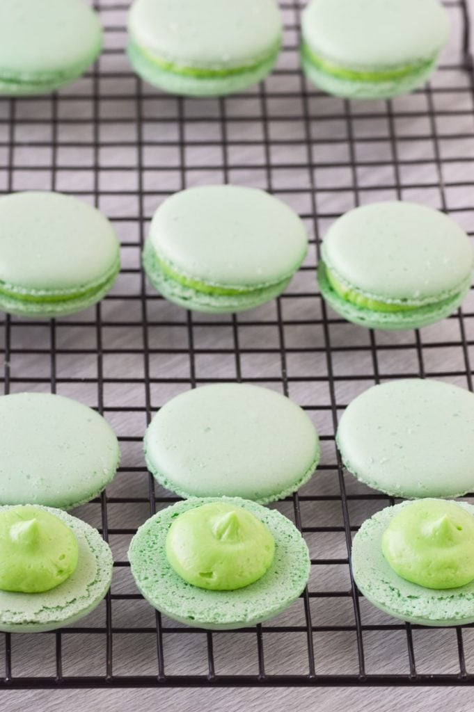 assembling margarita macarons