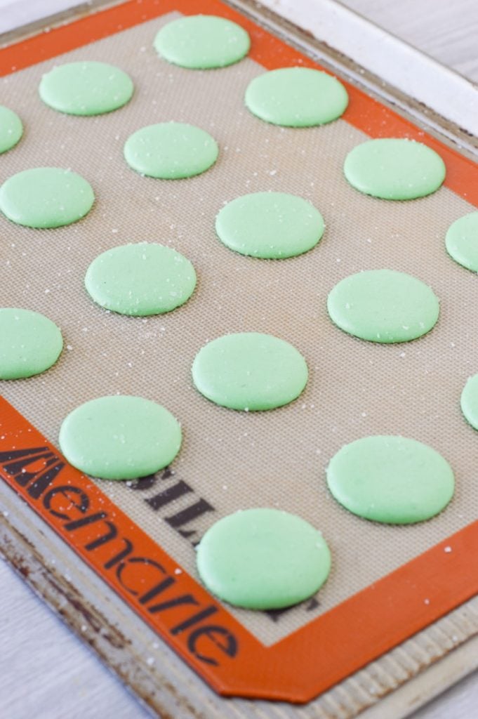 margarita macaron shells unbaked