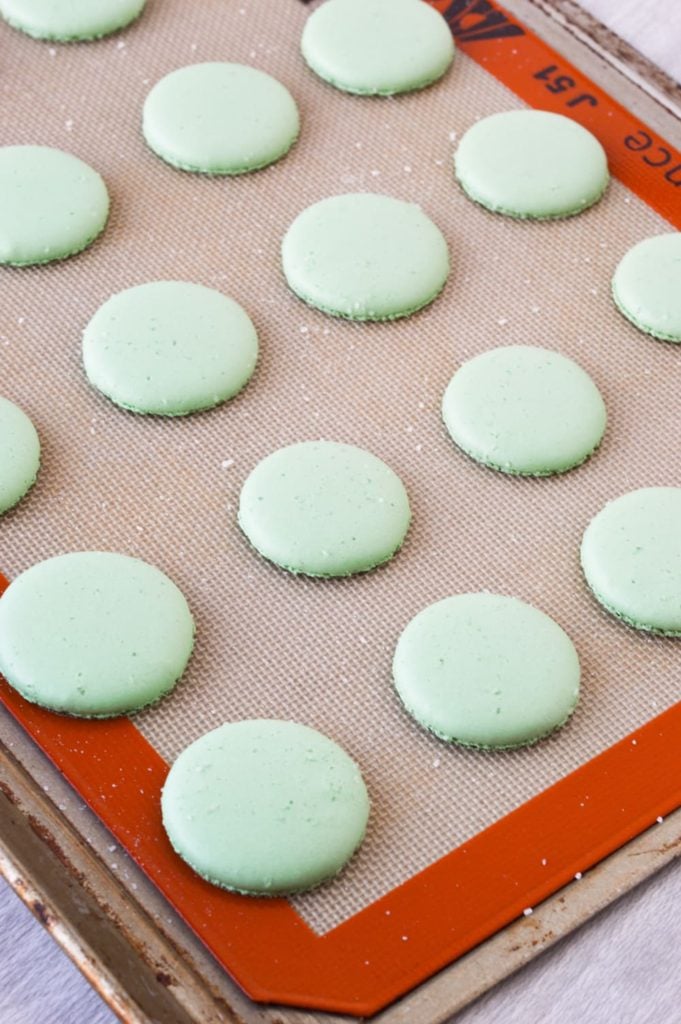 margarita macaron shells baked