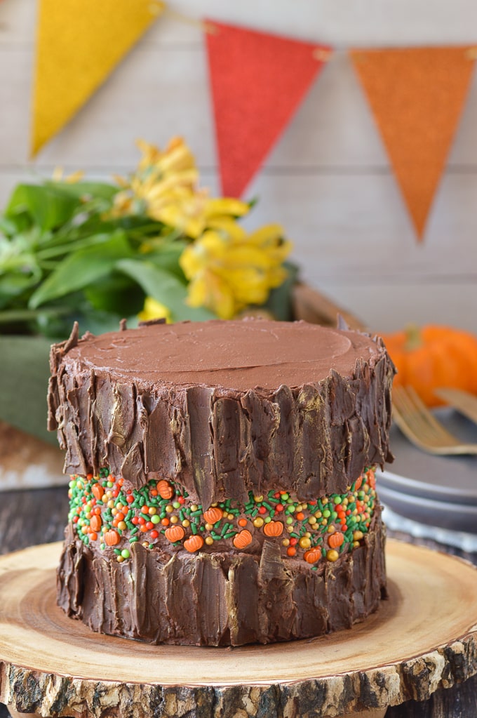fall themed fault line cake with chocolate bark