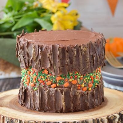fall themed fault line cake