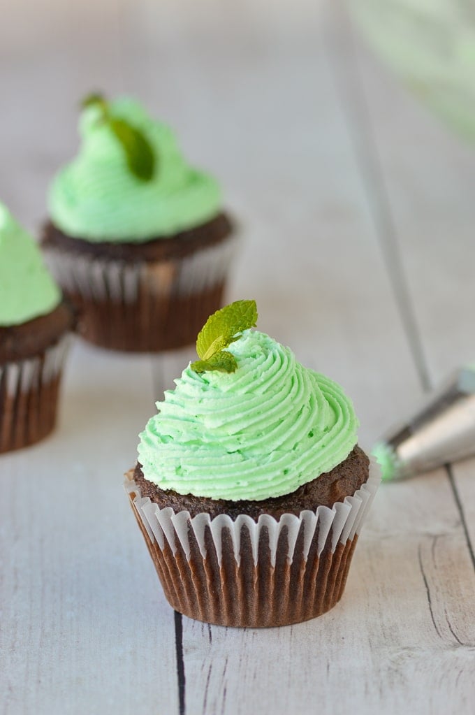 mint frosting piped on chocolate cupcakes 