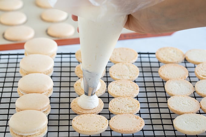 piping buttercream on french macaron shells 