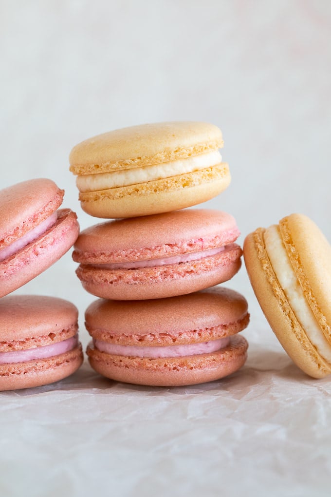 pink and white french macarons up close