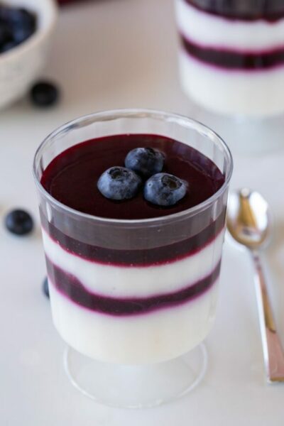 cropped-blueberry-coulis-blueberry-sauce-12-min.jpg