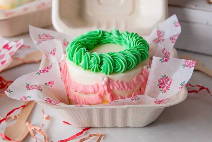 green and pink lunbox cake in box