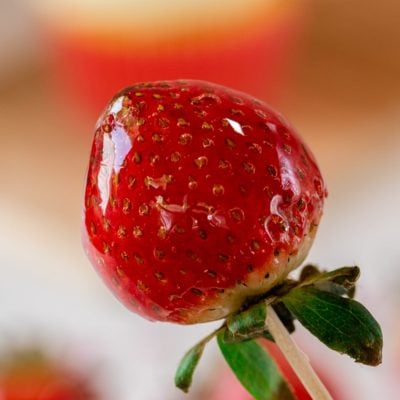 candied strawberry up close