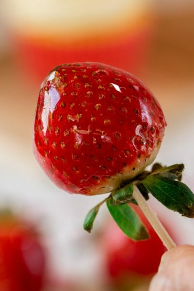 cropped-candied-strawberries-final-6-min.jpg