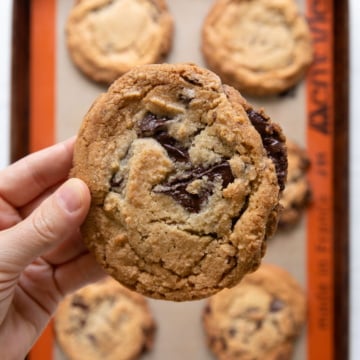 holding a jacques torres chocolate chip cookie over pan of cookies.