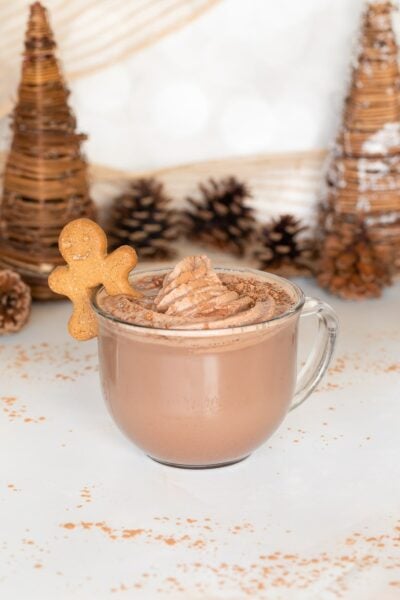easy hot chocolate in mug with cookie and chocolate whipped cream.