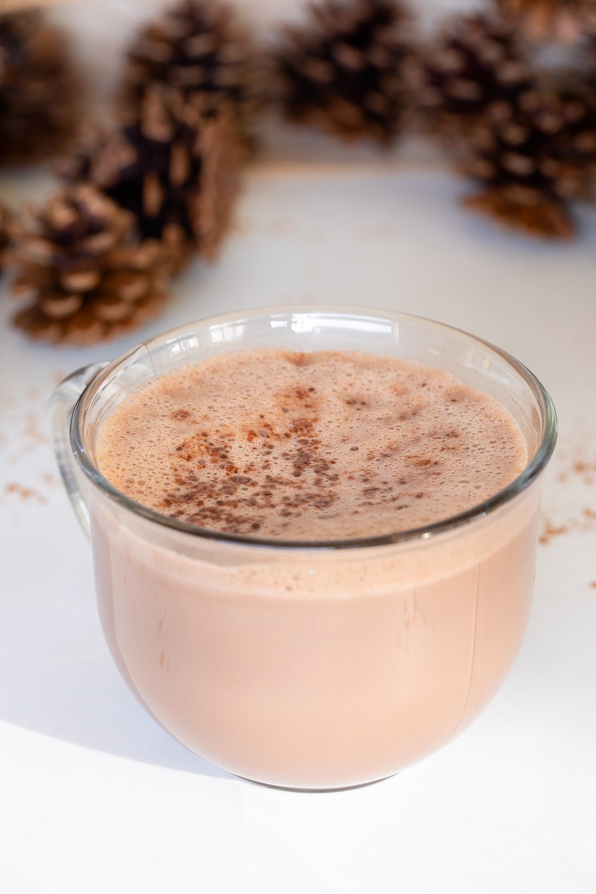 easy hot chocolate with cocoa powder up close.