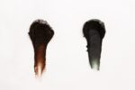 15 Minute Black Frosting (with and without food dye) - Partylicious