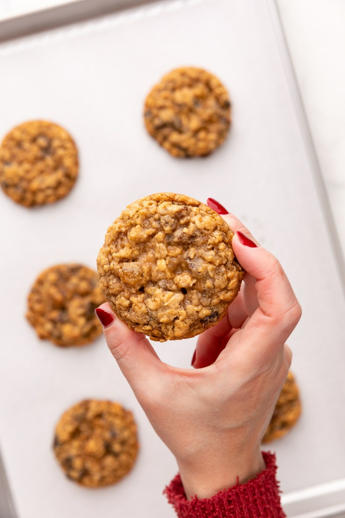holding a oatmeal raisin cookie over a baking sheet.