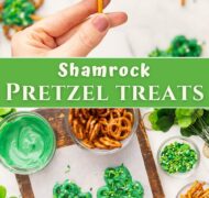 shamrock pretzel treats pin,