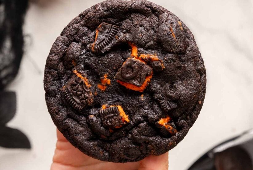 holding oreo halloween chocolate cookie.