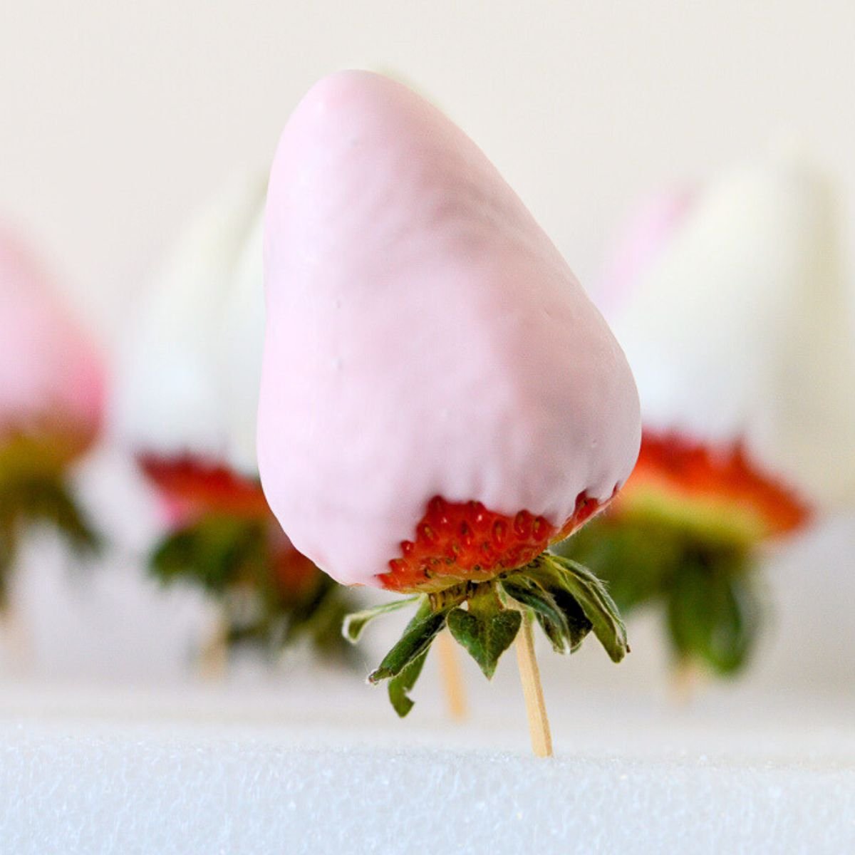 pink chocolate covered strawberry drying upside down on styrofoam.