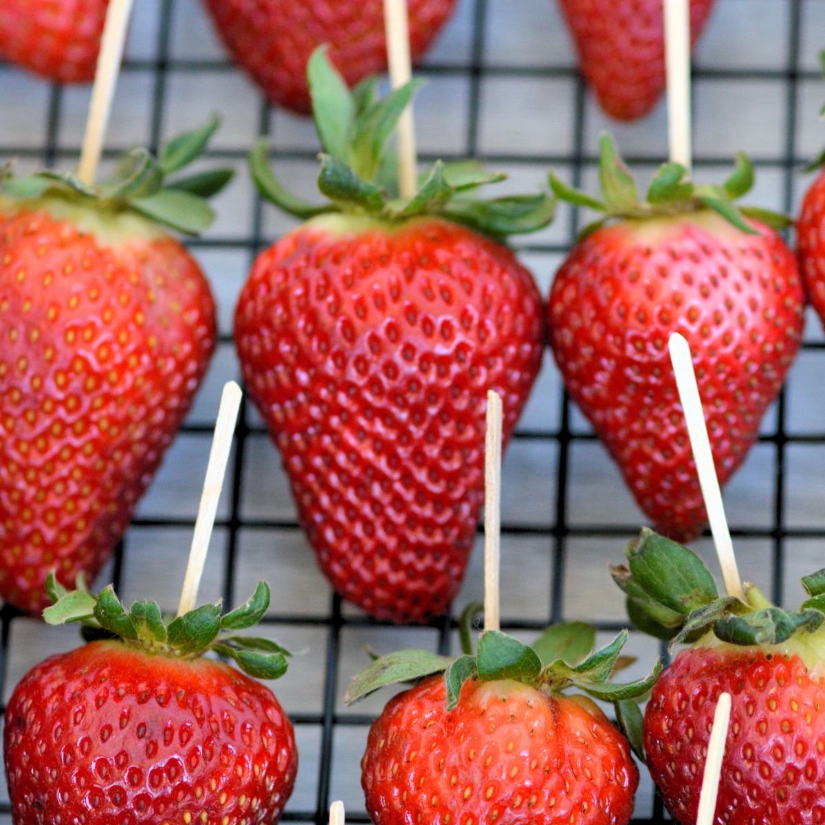 strawberries on a drying rack with toothpicks in the back of them.